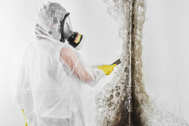 Water Damage Restoration in Kaser, NY
