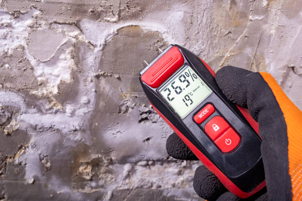 Trusted Kaser, NY Mold Removal Experts